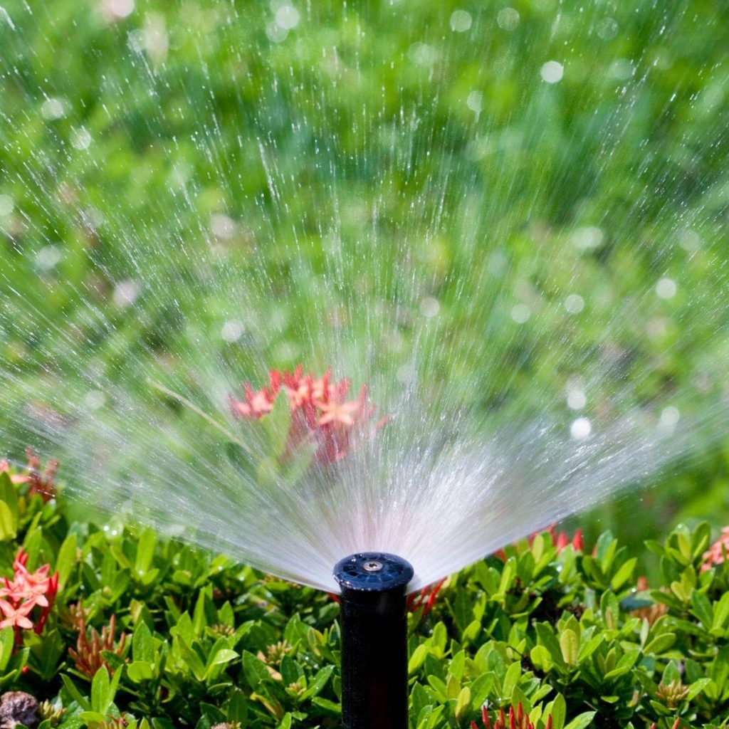 Sprinkler watering lawn and plants Greenwood Lawn Care Bend Oregon