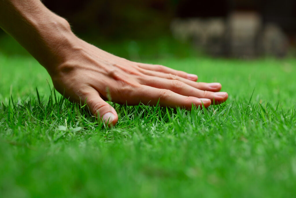 Hand on green lush grass Greenwood Lawn Care Bend Oregon